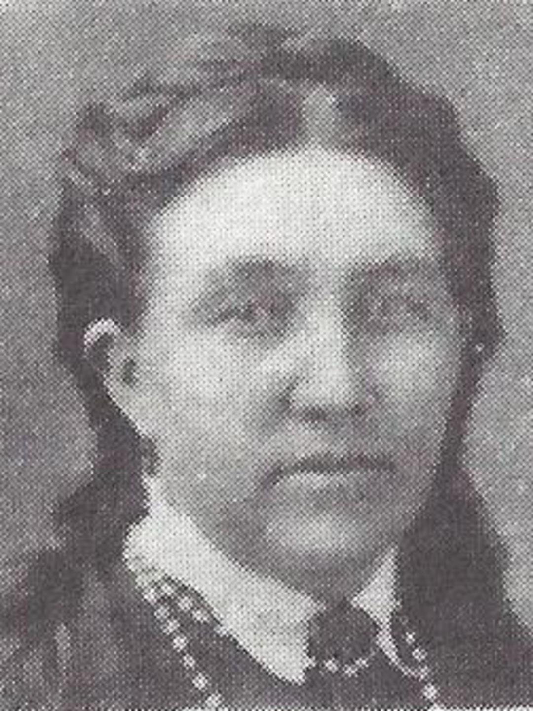 Elizabeth Coon (1839 - 1907) Profile